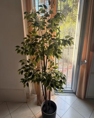 Pianta finta con vaso 170cm