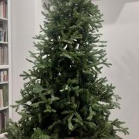 Albero di Natale (tipo abete)