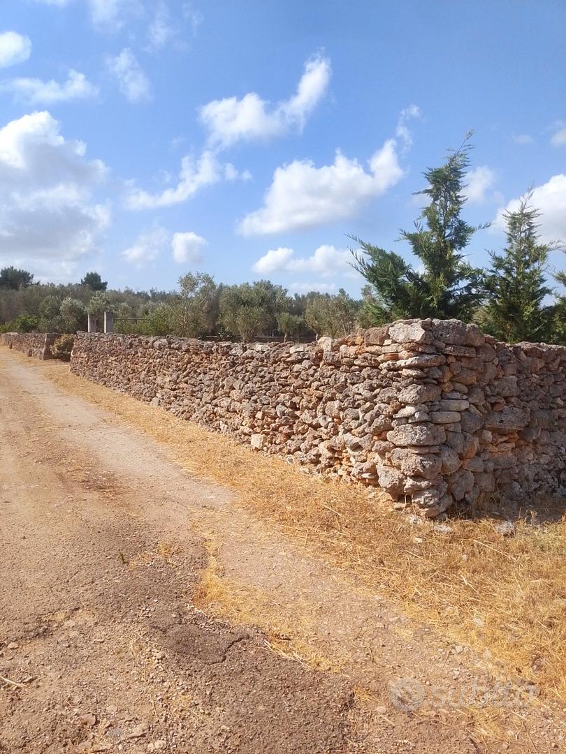 Terreno agricolo - Vista 4