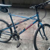 Mountain bicke  bianchi