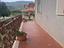 Immagine 10