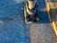 Immagine 3