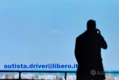 Autista privato famiglia / Assistente / Direzione