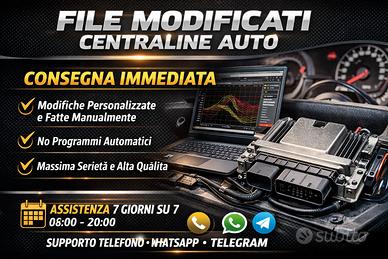 Rimappatura ECU Auto - File personalizzati 