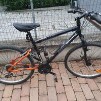 Mountain bike