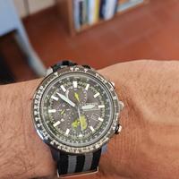 Citizen geo trekker 