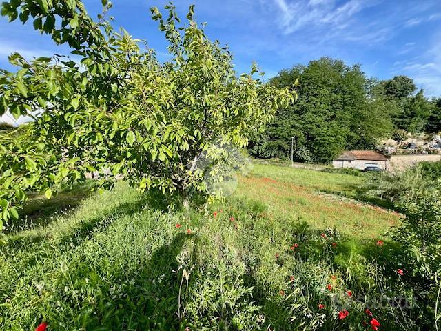 TER. AGRICOLO A MONTEFIASCONE - Vista 2
