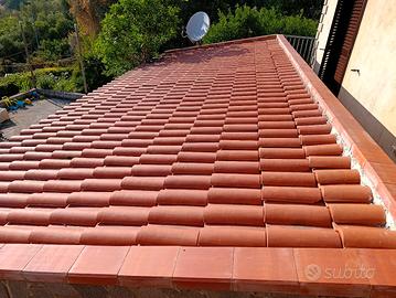 Tegole perfetto stato