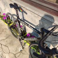 bici  da corsa carbonio alluminio