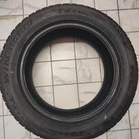 Gomme da neve 225/55R17