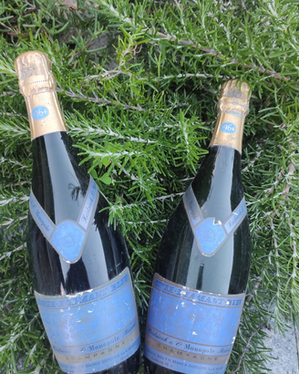 2 Bottiglie Champagne 1964