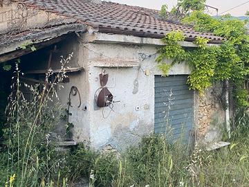 Immobile con terreno