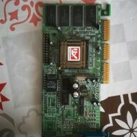 Scheda video SVGA 32MB AGP SYS