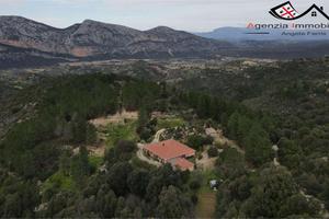 Casa indipendente con 7,9 ha di terreno e bungalow