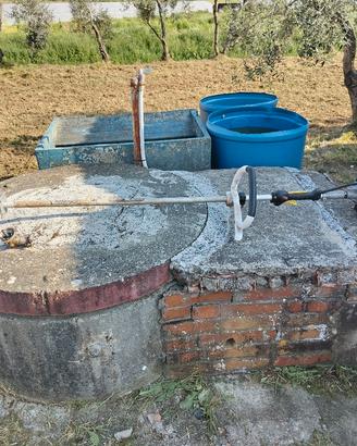 decespugliatore alpina