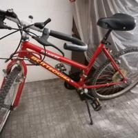 Bicicletta Bottecchia