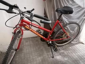 Bicicletta Bottecchia