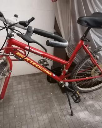 Bicicletta Bottecchia
