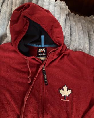 Micropile tecnico Canadian