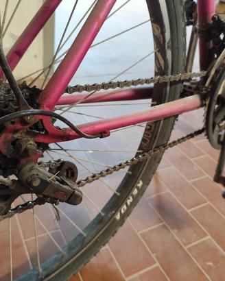Bicicletta Shimano da donna mtb 