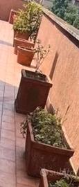 Vasi in Terracotta