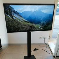 Display/monitor Philips 43"