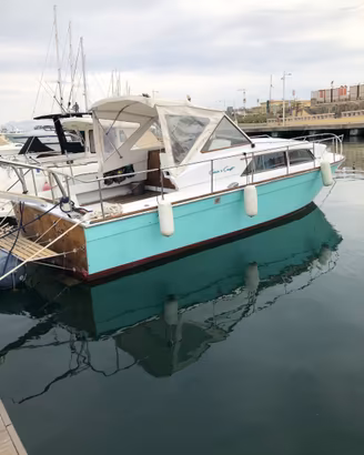 Chris Craft catalina 28