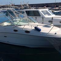 Sea Ray 275 Sundancer  8,47mVolvo Penta KAD 300