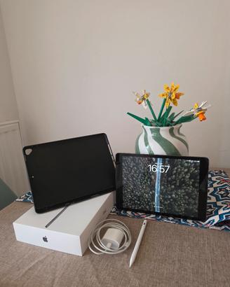 iPad 9° gen  64 GB  WIFI + custodia + penna stylus