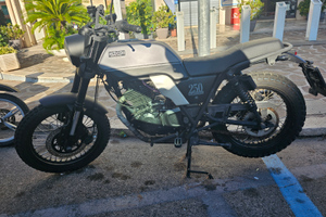 Brixton Glanville 250 - 2019