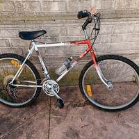 Biciclette da 80 euro
