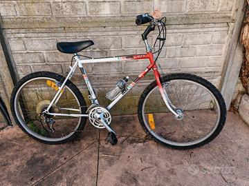 Biciclette da 80 euro