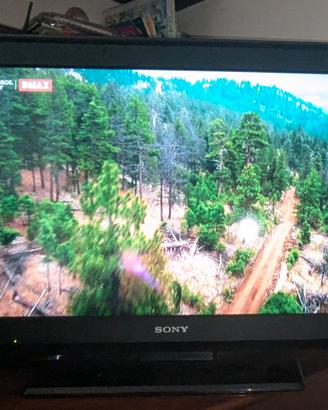 TV LCD Sony bravia 32 pollici con telecomando 