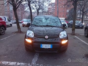 Fiat Panda Icon