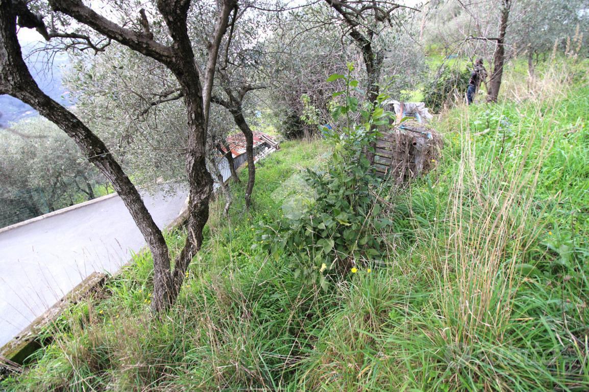 TER. AGRICOLO A LEIVI - Vista 2