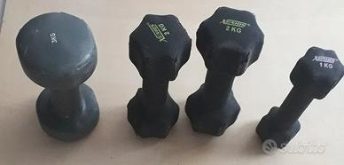 Quattro manubri pesi fitness