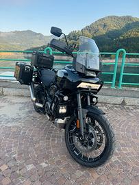 Harley Davidson 1250 Special