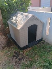 cuccia per cane nuova
