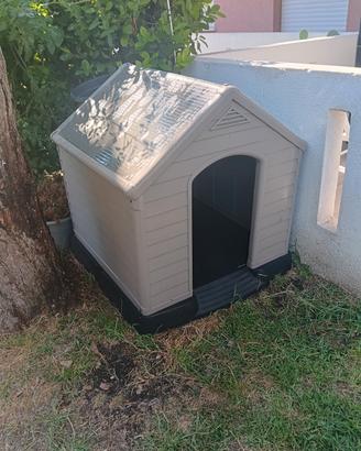 cuccia per cane nuova