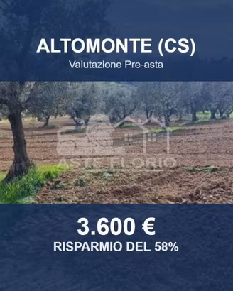 Immobile in asta di 4270 m² a Altomonte