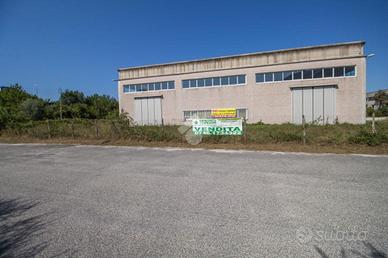 MULTILOCALE A CITTADUCALE