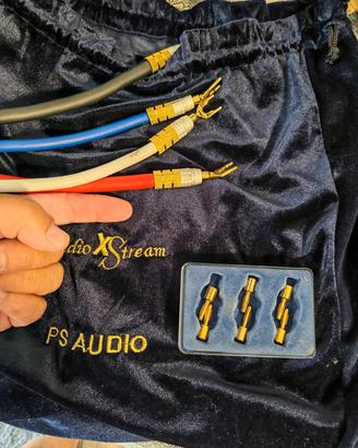 PS Audio xstream Statement Cavi di potenza 