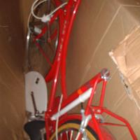 Bici da donna rossa