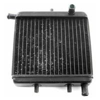 Radiatore Aprilia RS - AF1 - Futura- Tuono AP82014