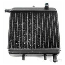 Radiatore Aprilia RS - AF1 - Futura- Tuono AP82014