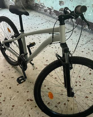 Bicicletta 27
