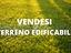 Immagine 9