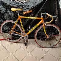 olmo Sanremo 