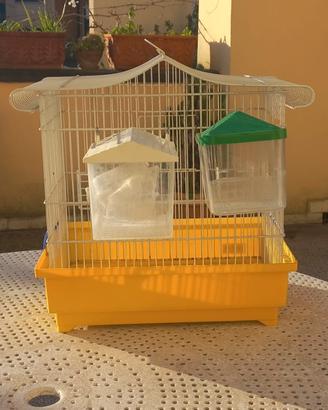 Gabbia uccelli