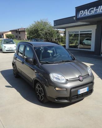 FIAT Panda 3ª serie Panda 1.0 FireFly S&S Hybr...